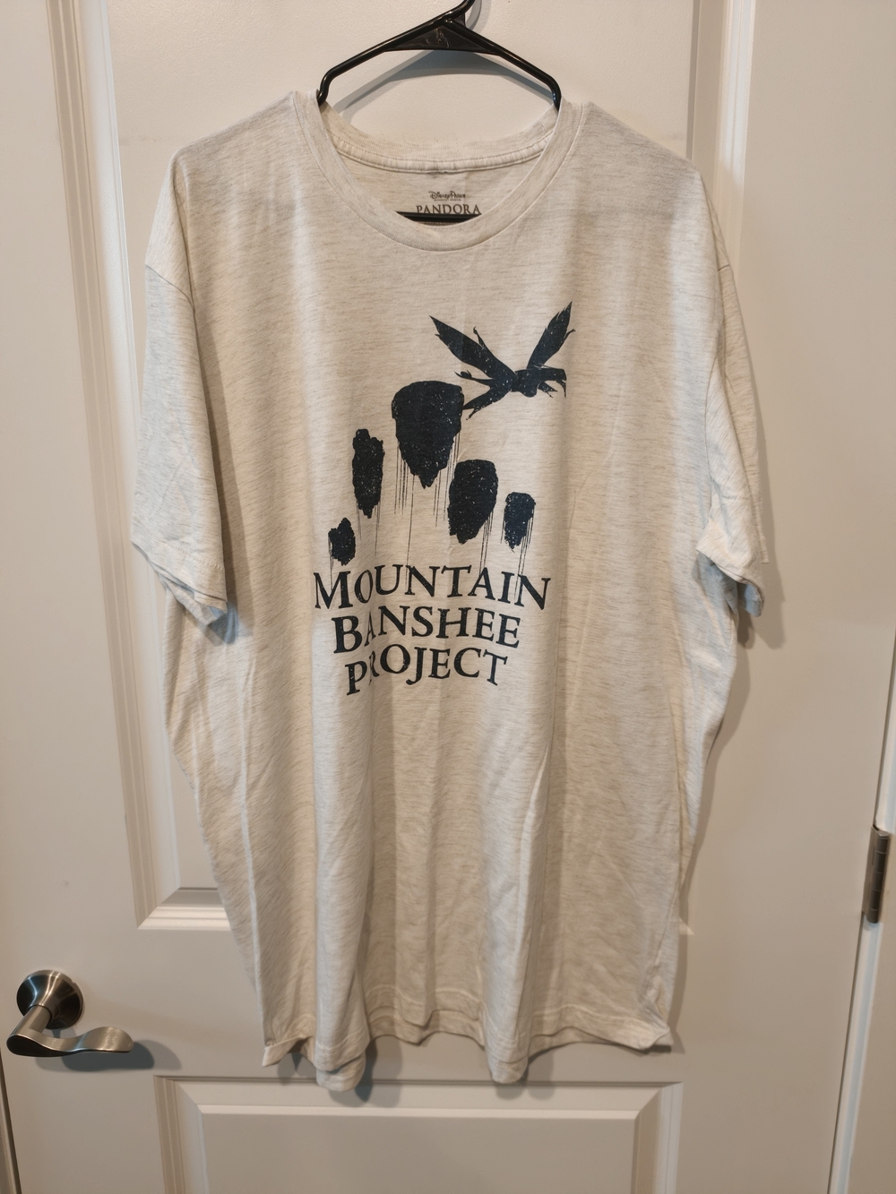 Disney Parks Animal Kingdom Pandora Avatar Mountain Banshee Project Shirt XXL